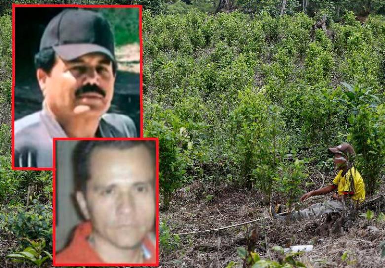 narcos mexico colombia 39856752 20220423130531